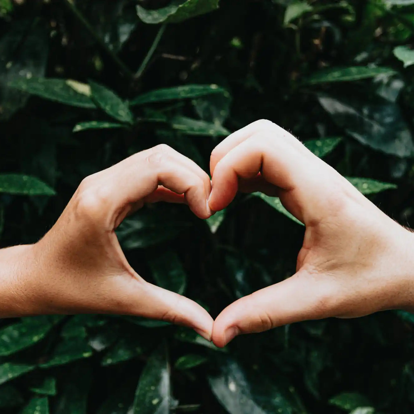 Two hands forming a heart shape together.